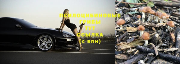 a pvp Беломорск