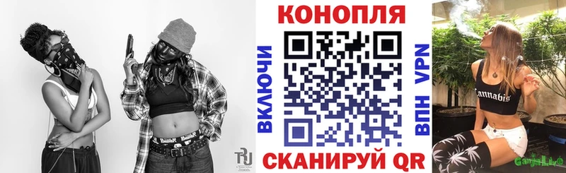 Бошки Шишки Amnesia как найти наркотики Яранск